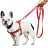 Dog Leash Set