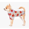 Small Pet Raincoat