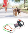 Dog Collars 2 in 1 Dog Leash