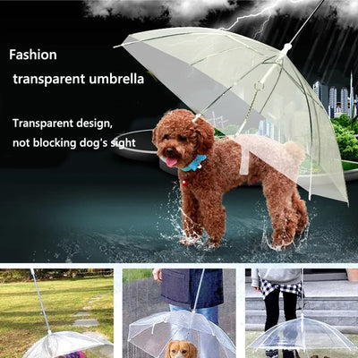 Pet Umbrellas