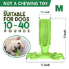 Toothbrush For Dog