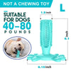 Toothbrush For Dog